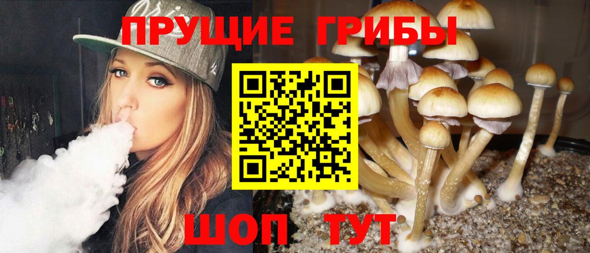 Галлюциногенные грибы MAGIC MUSHROOMS  Вход с VPN  где продают   Галлюциногенные грибы Cubensis  Азнакаево 