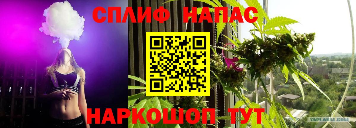 Бошки марихуана конопля Азнакаево